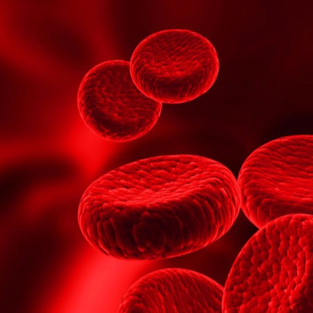 Darwin Back Pain and Sports Injuries Platelet Rich Plasma Therapy